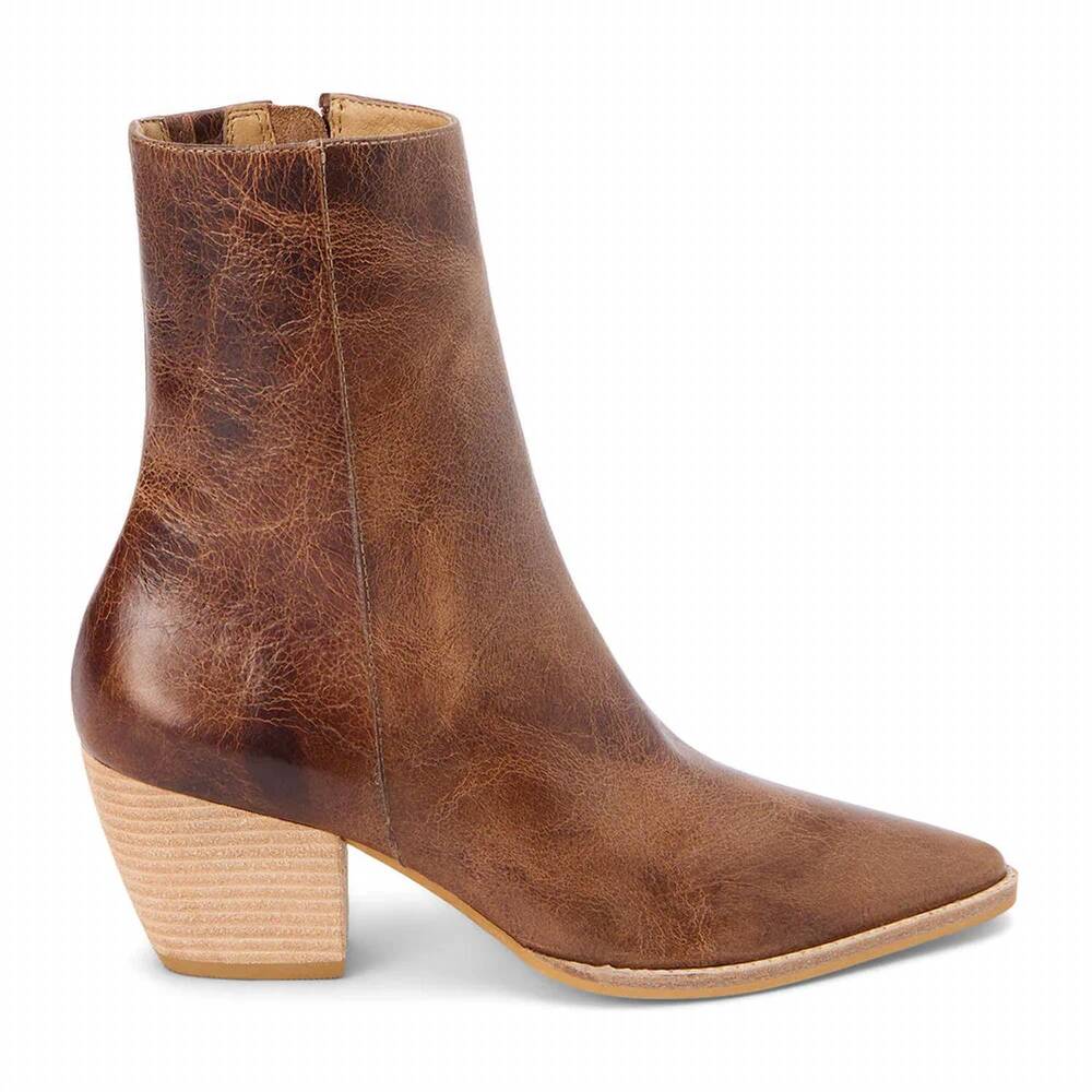 Matisse Brown Leather Pointed Toe Ankle Boots